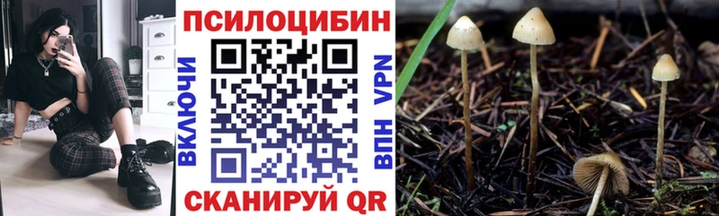 Галлюциногенные грибы Magic Shrooms  нарко площадка официальный сайт  Петушки 